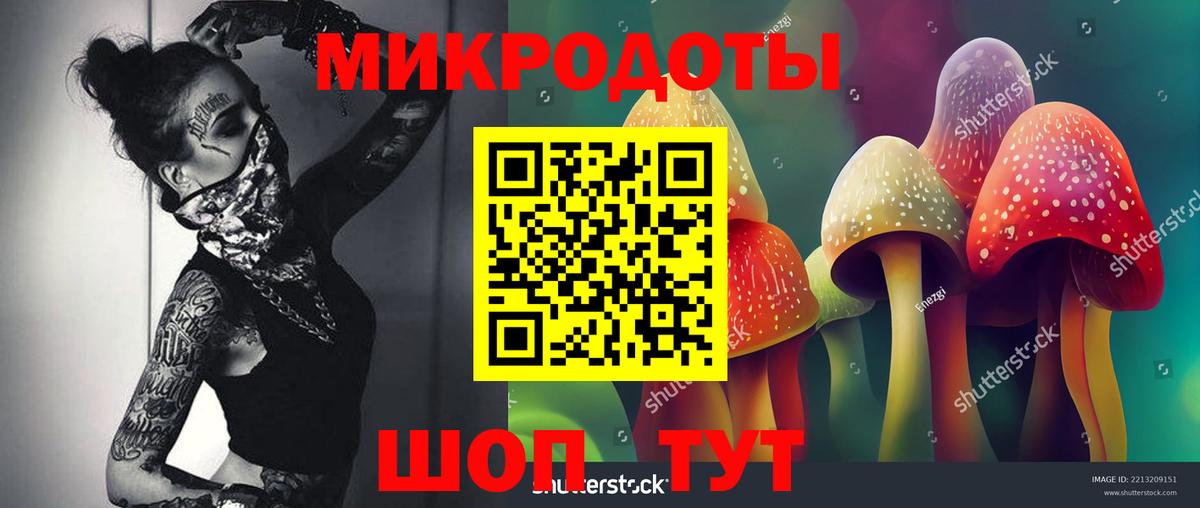 Галлюциногенные грибы прущие грибы  Псилоцибиновые грибы Psilocybine cubensis  Арзамас  Вход с VPN 